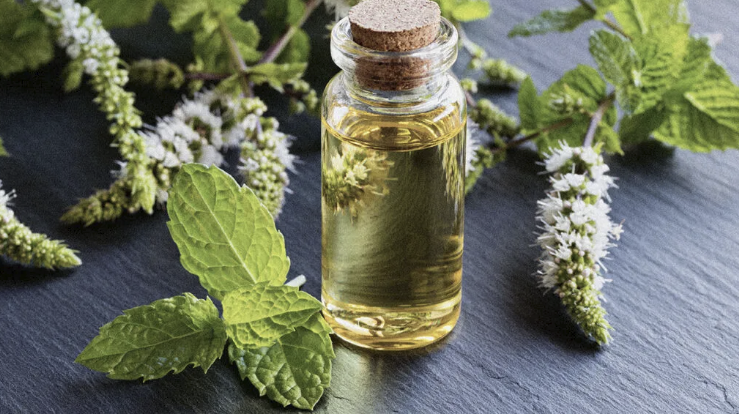 peppermint oil