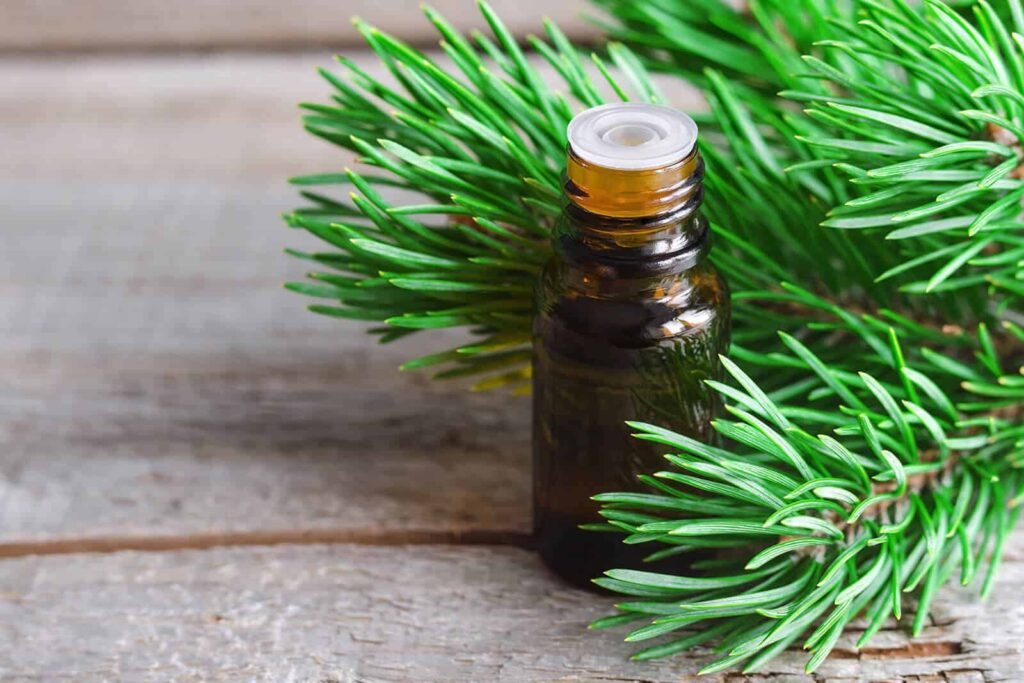 pine essential oil