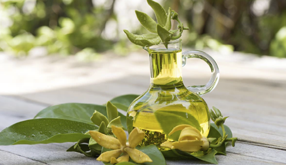 ylang ylang oil