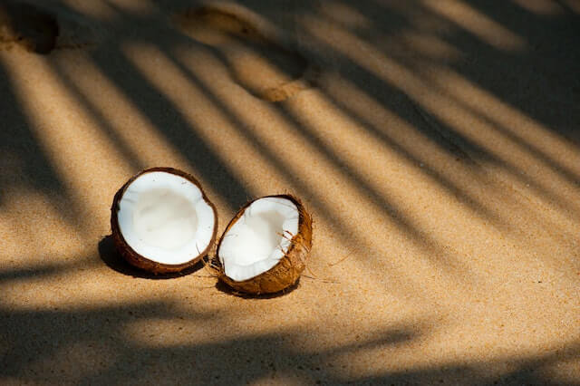 Use coconut milk as an organic skin care moisturizer