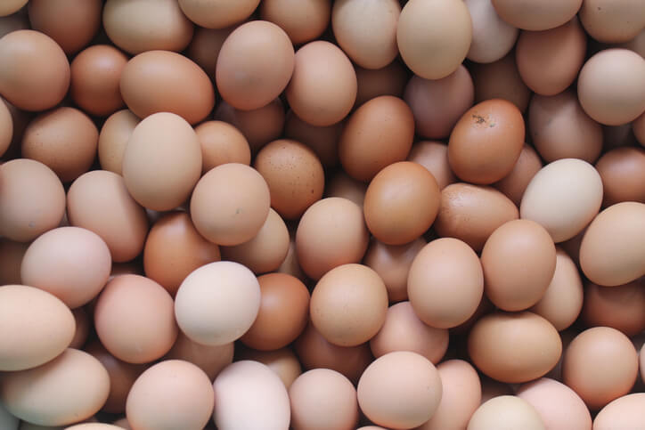 eggs