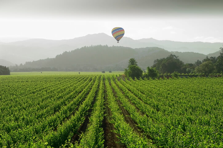 Napa Valley