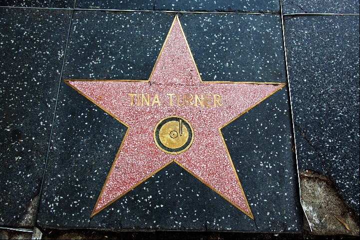 Tina Turner Star
