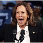 Kamala Harris Black men empowerment plan