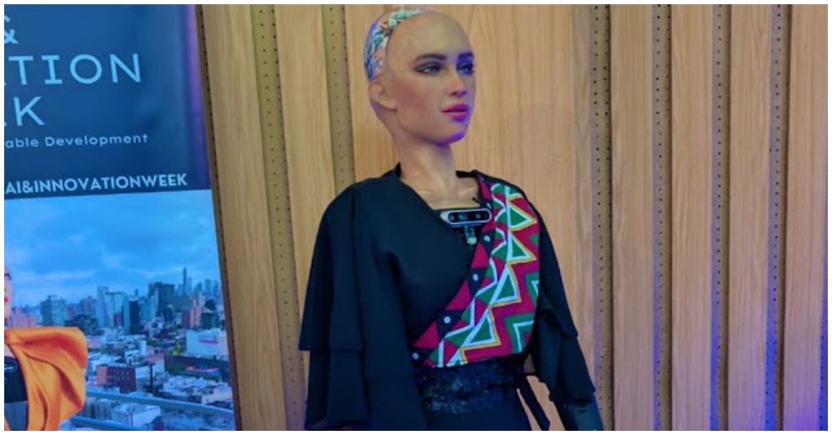 Sophia Zimbabwe humanoid robot